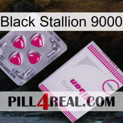 Black Stallion 9000 32